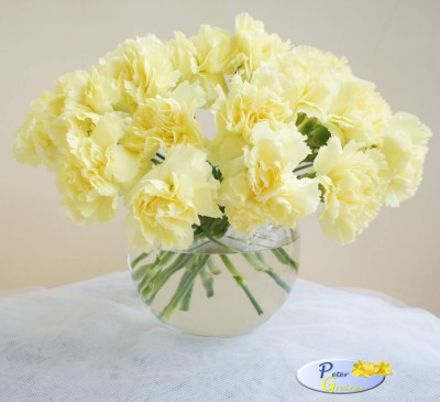 Carnation Grenadine Yellow 